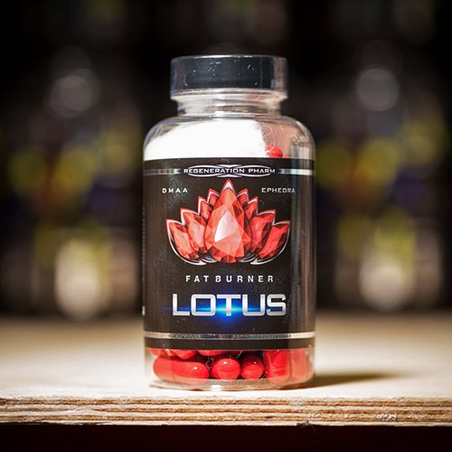 Lotus Fat Burner Regeneration Pharm